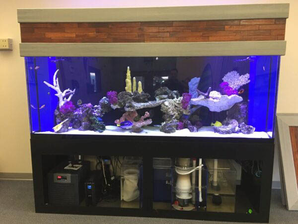 Fish Tank Stand (1)