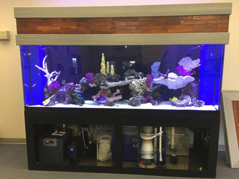 Metal Fish Tank and Aquarium Stand - ECon Welding