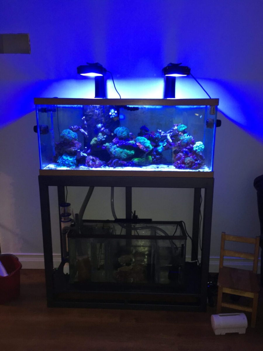 Fish Tank Stand (6)